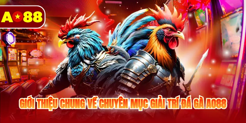 Giới thiệu chung về chuyên mục giải trí đá gà AO88