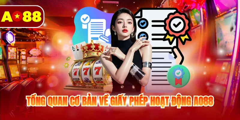 Tổng quan cơ bản về giấy phép hoạt động AO88